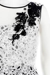 Oscar de la Renta Dress, 2016
