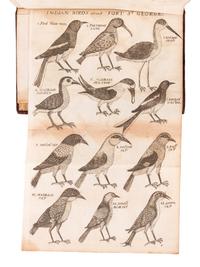 RAY, John (1628-1705). Synopsis Methodica Avium & Piscium . London: William Innys, 1713.