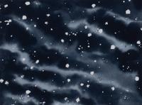 Starry Nights 12 , 2007