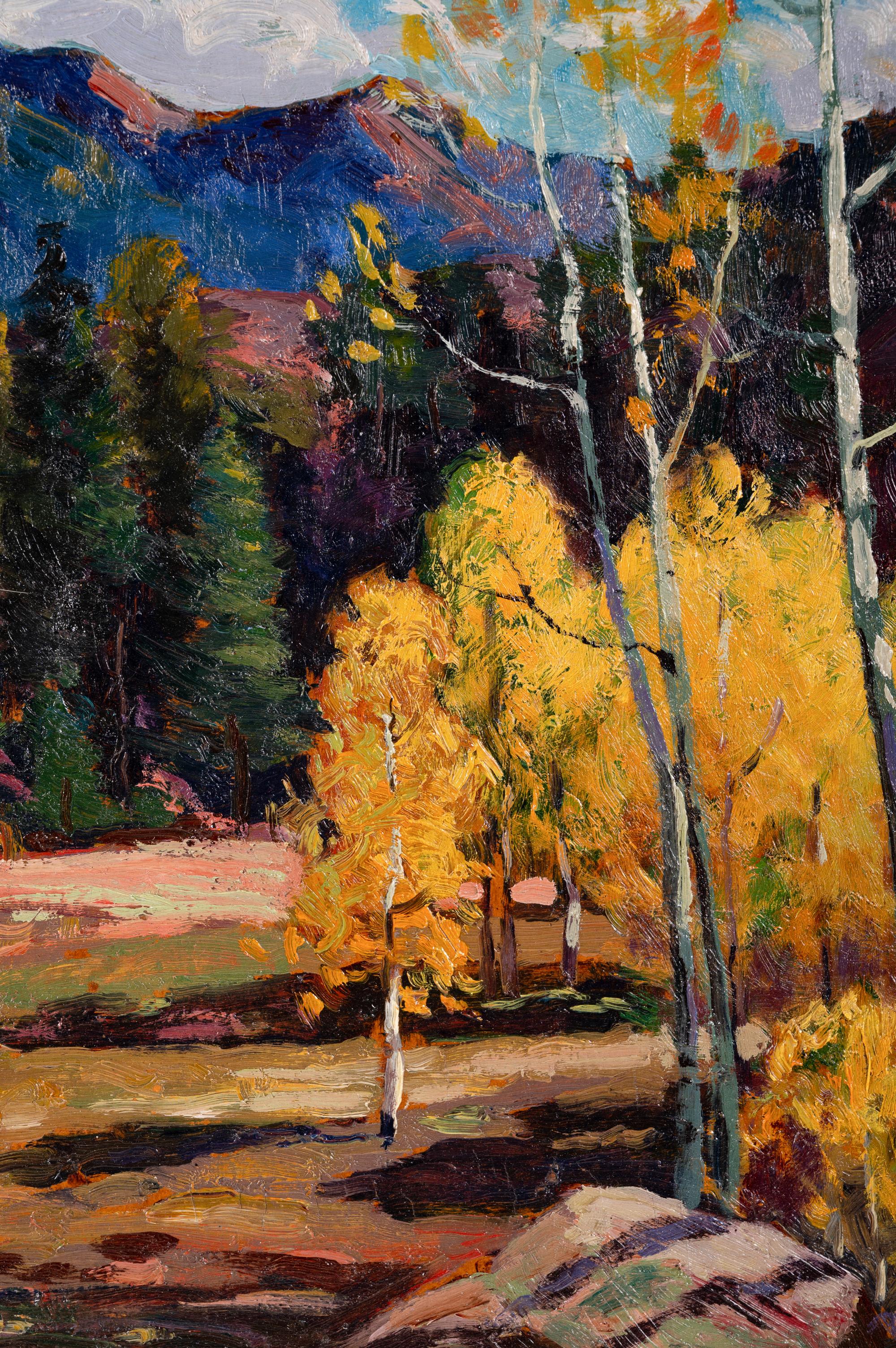 In the Mountains Above Taos