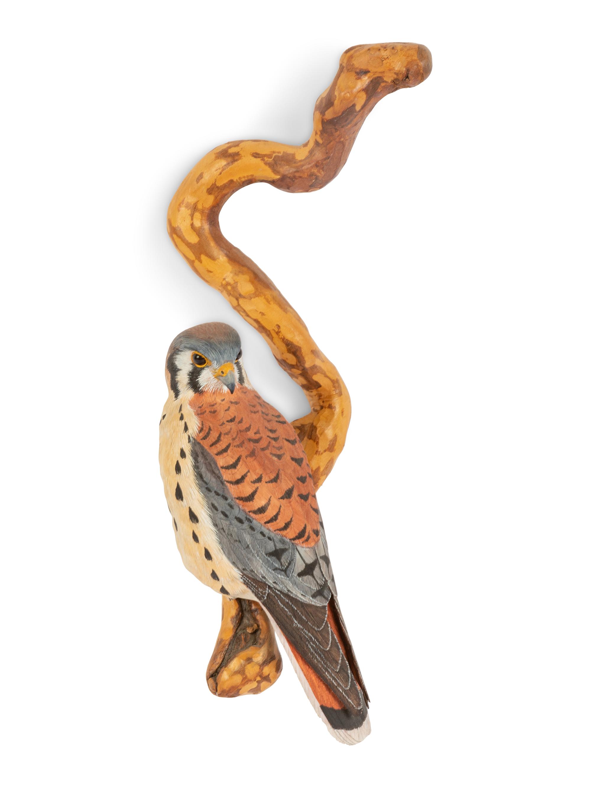 Kestrel
