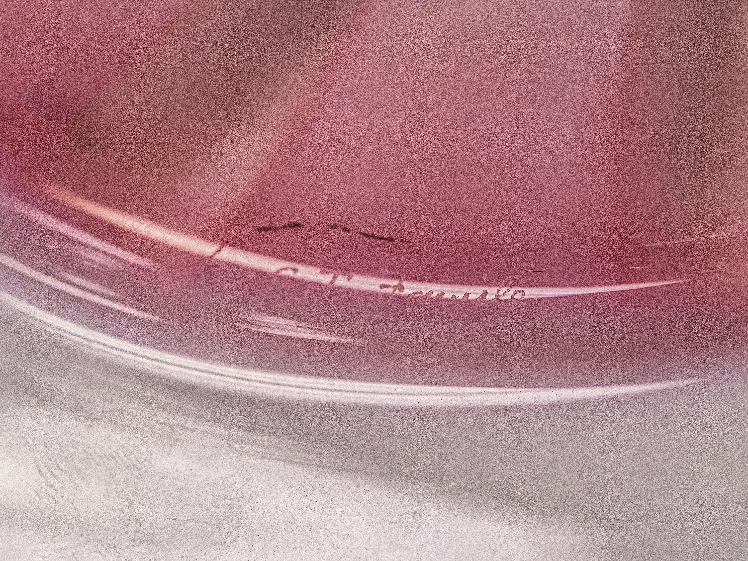 Three Pastel Plates