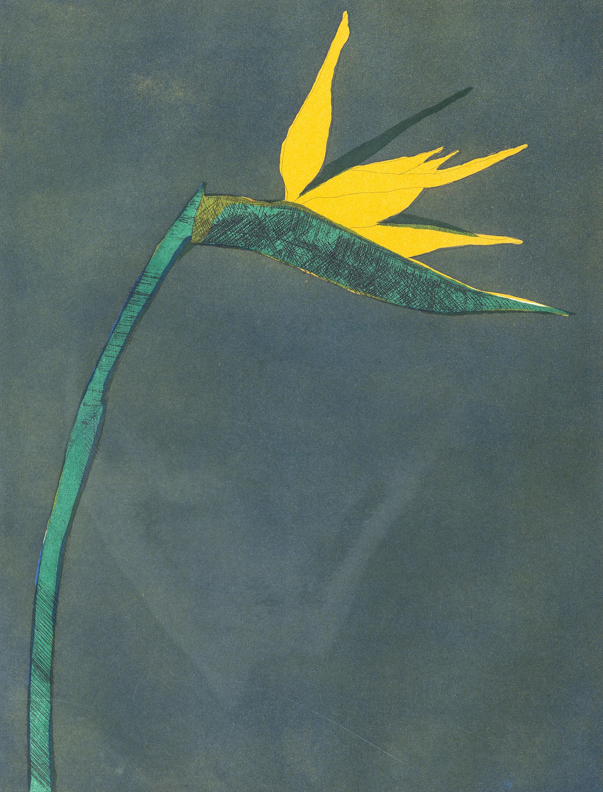 Bird of Paradise , edition 81/120