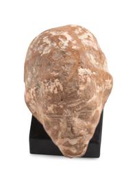 A Romano-Egyptian Terracotta Head of a Grotesque