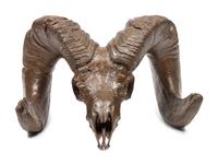 Bighorn Skull , edition 1/22