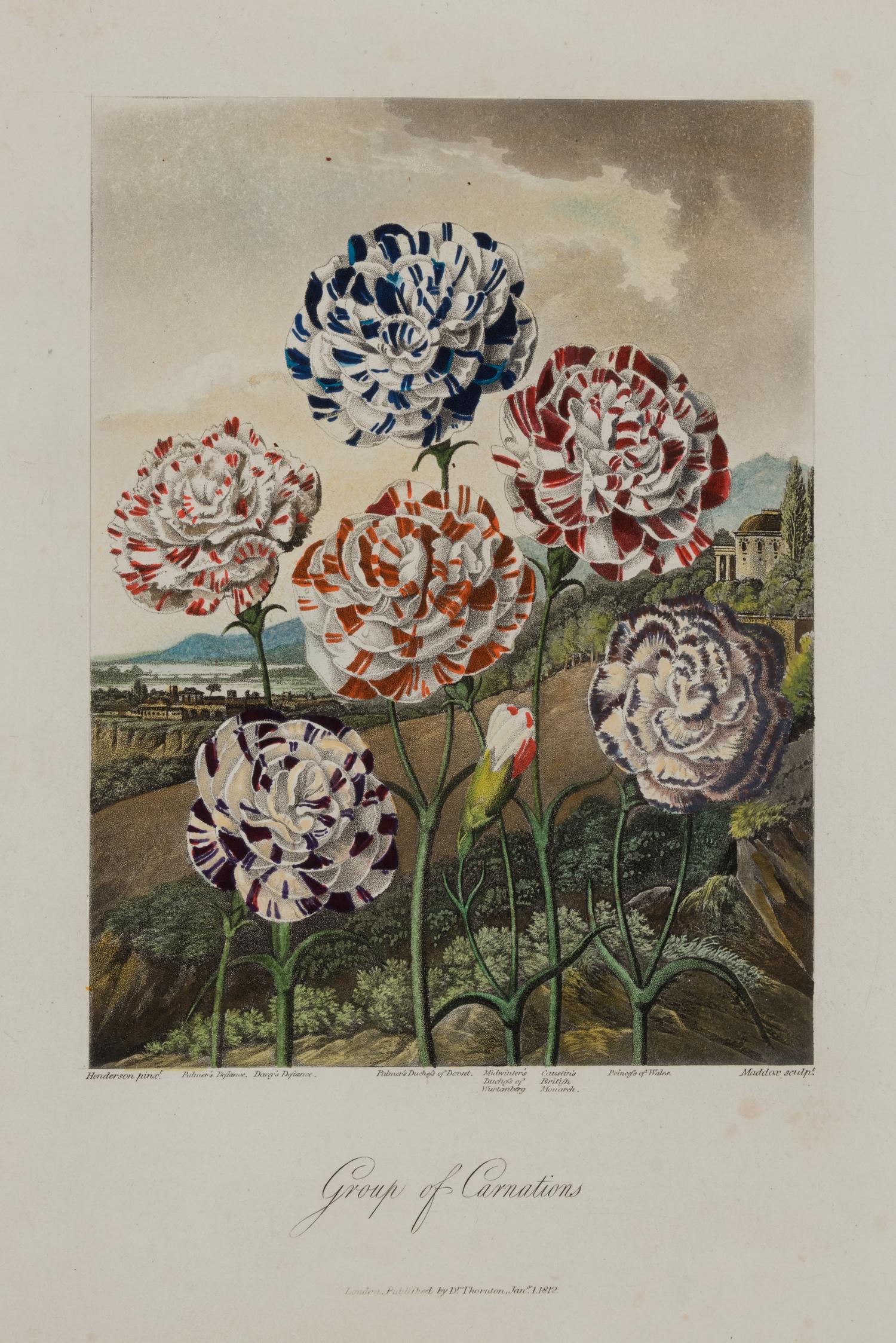 [NATURAL HISTORY]. THORNTON, Robert John (1768-1837). A suite of 15 botanical plates from Thornton's 1812 quarto edition Temple of Flora . [London: for the author, 1812].