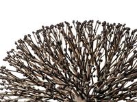 Untitled (Bush)
