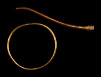 Two Greek Gold Implements