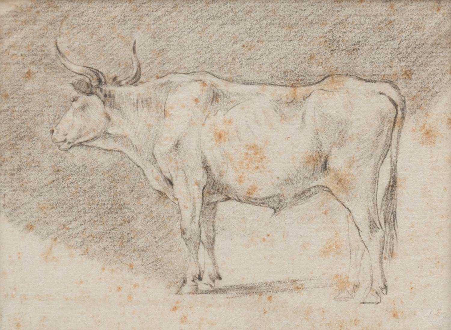 A Group of Three Drawings and One Engraving
