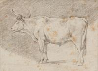 A Group of Three Drawings and One Engraving