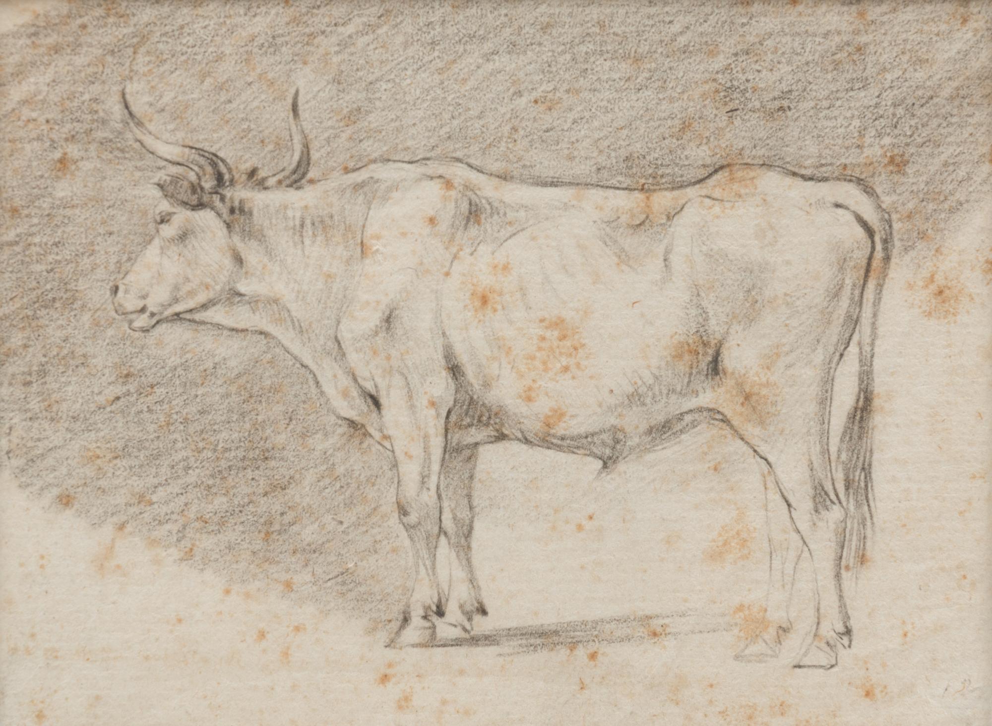 A Group of Three Drawings and One Engraving