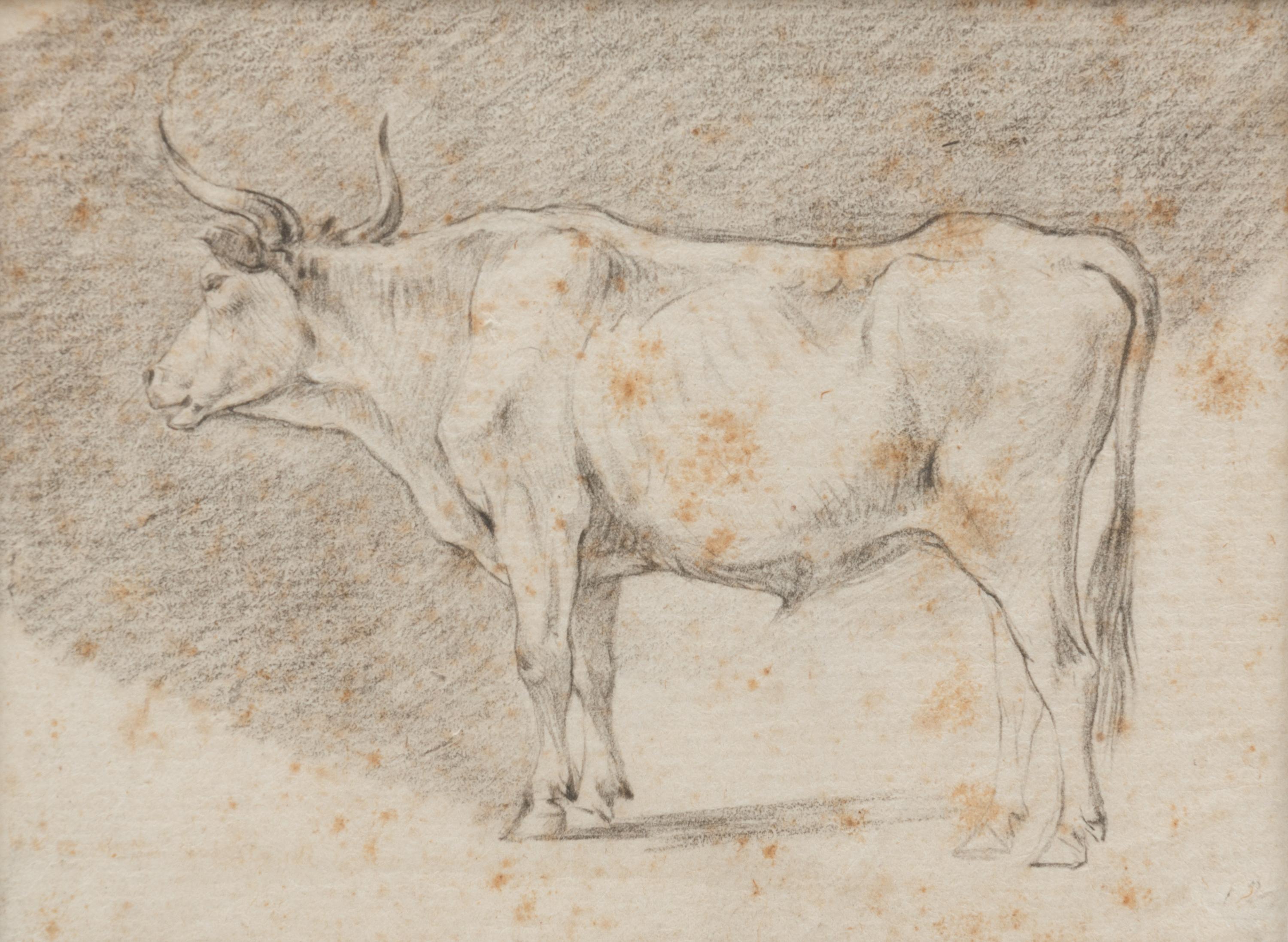A Group of Three Drawings and One Engraving