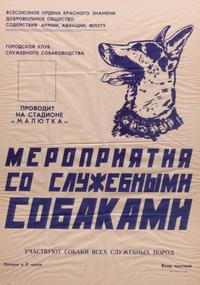 A Group of Eleven Foreign Language Posters depicting Various Dog Breeds Largest: 32 1/2 x 23 inches.