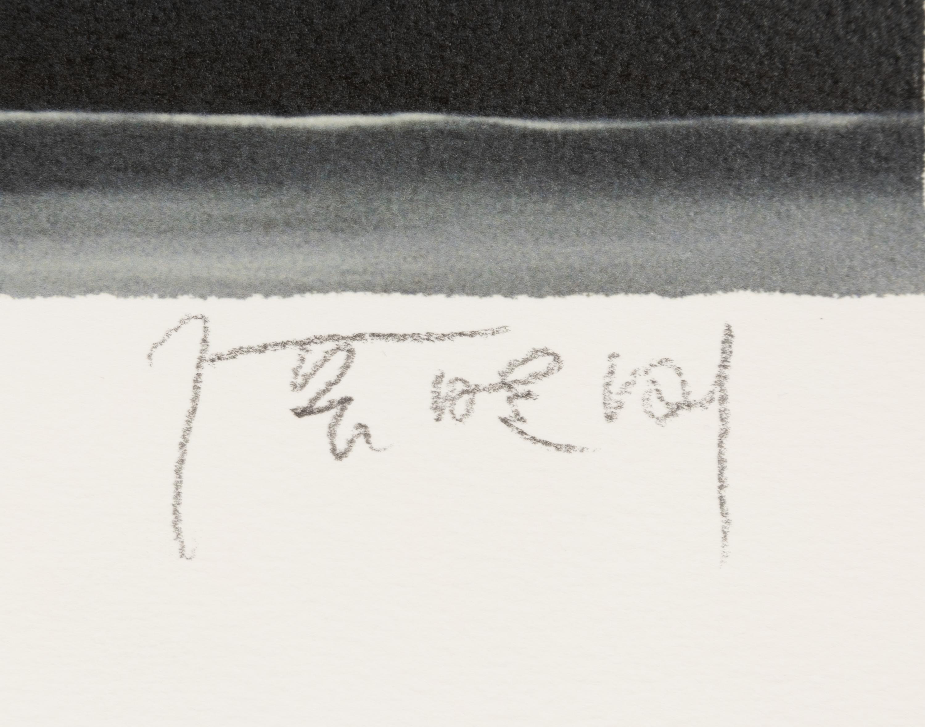 Amnesia and Memory Suite (complete portfolio of 12 with accompanying book and original lithograph, housed in original box) , 2006