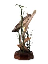 Bird on Branch