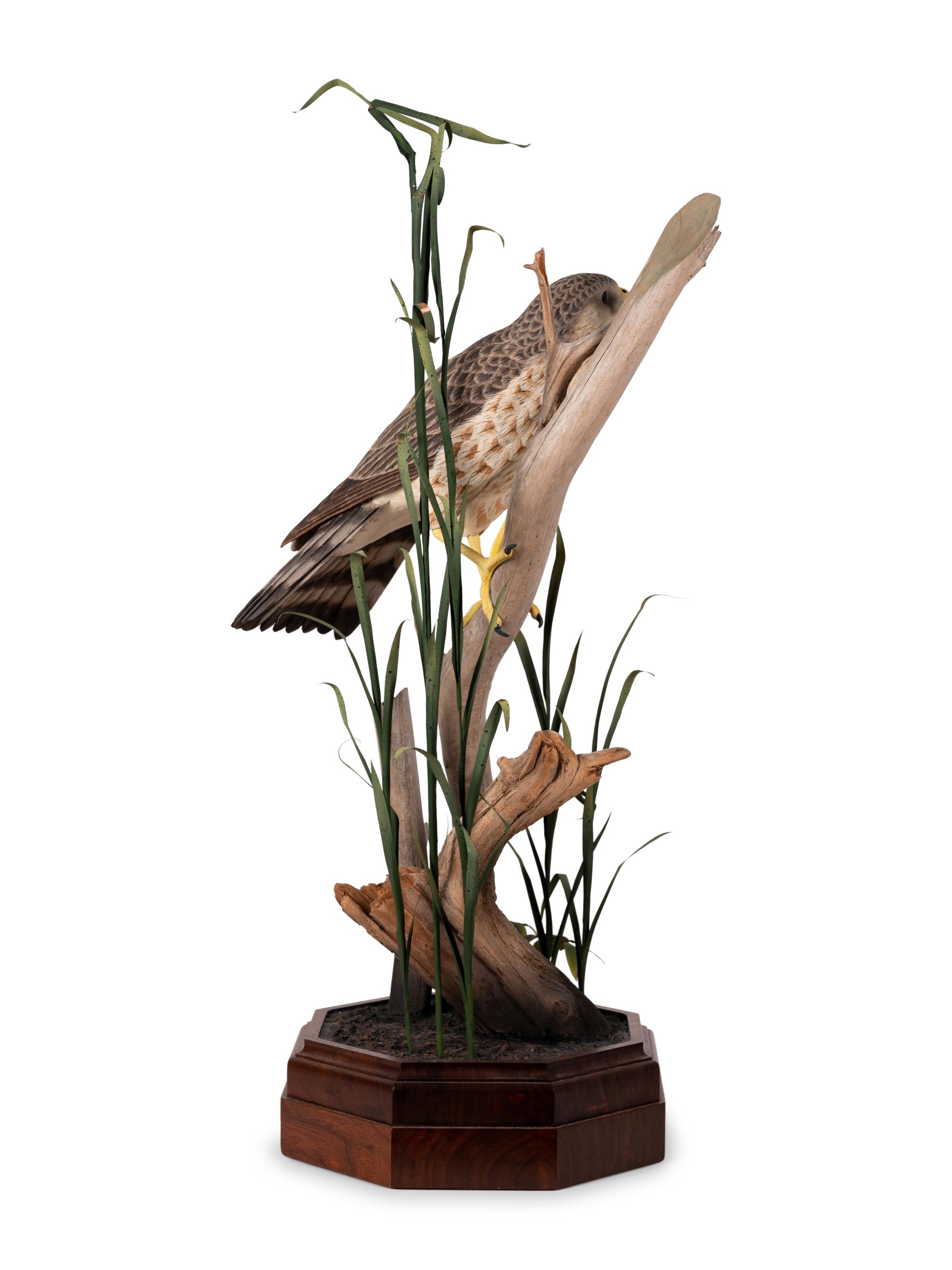Bird on Branch
