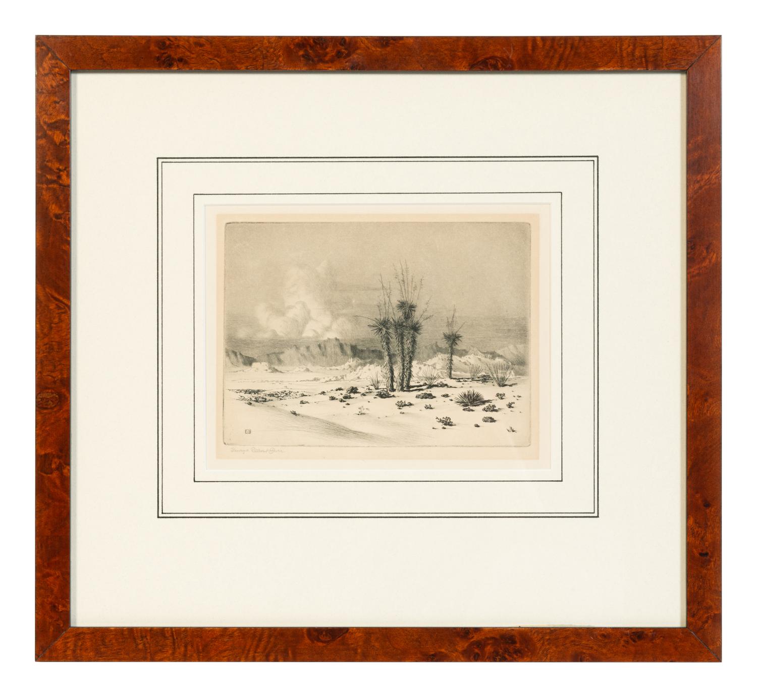 Seaside Landscape , plus etching, Evening Desert, Arizona