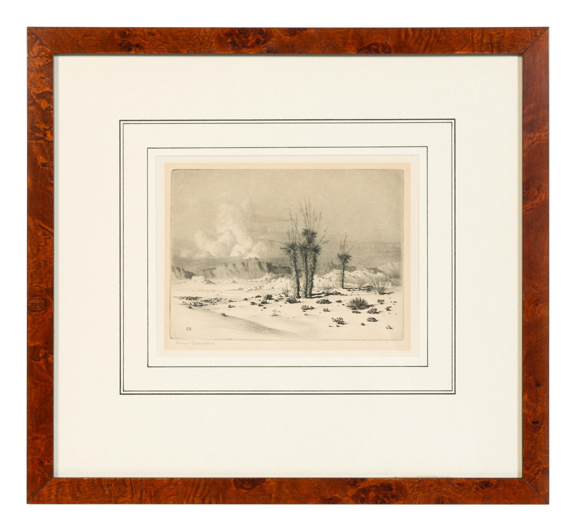 Seaside Landscape , plus etching, Evening Desert, Arizona