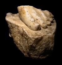 A Roman Marble Fragment of a Left Foot