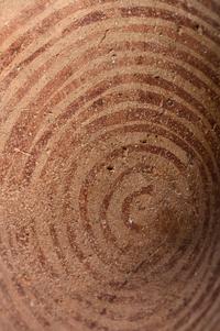 An Egyptian Pottery Jar