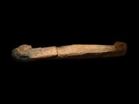 An Egyptian Wood Ushabti