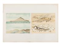 [Natural History] Verbeek, Rogier D.M. Krakatau