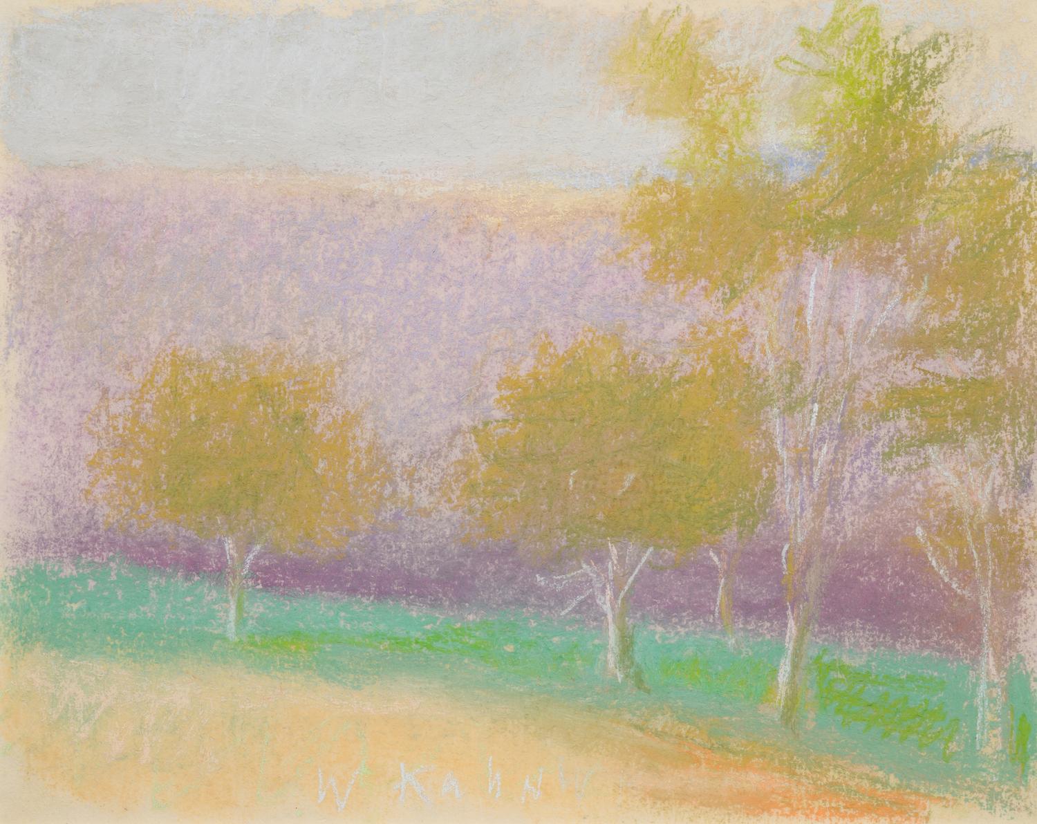 Five Trees