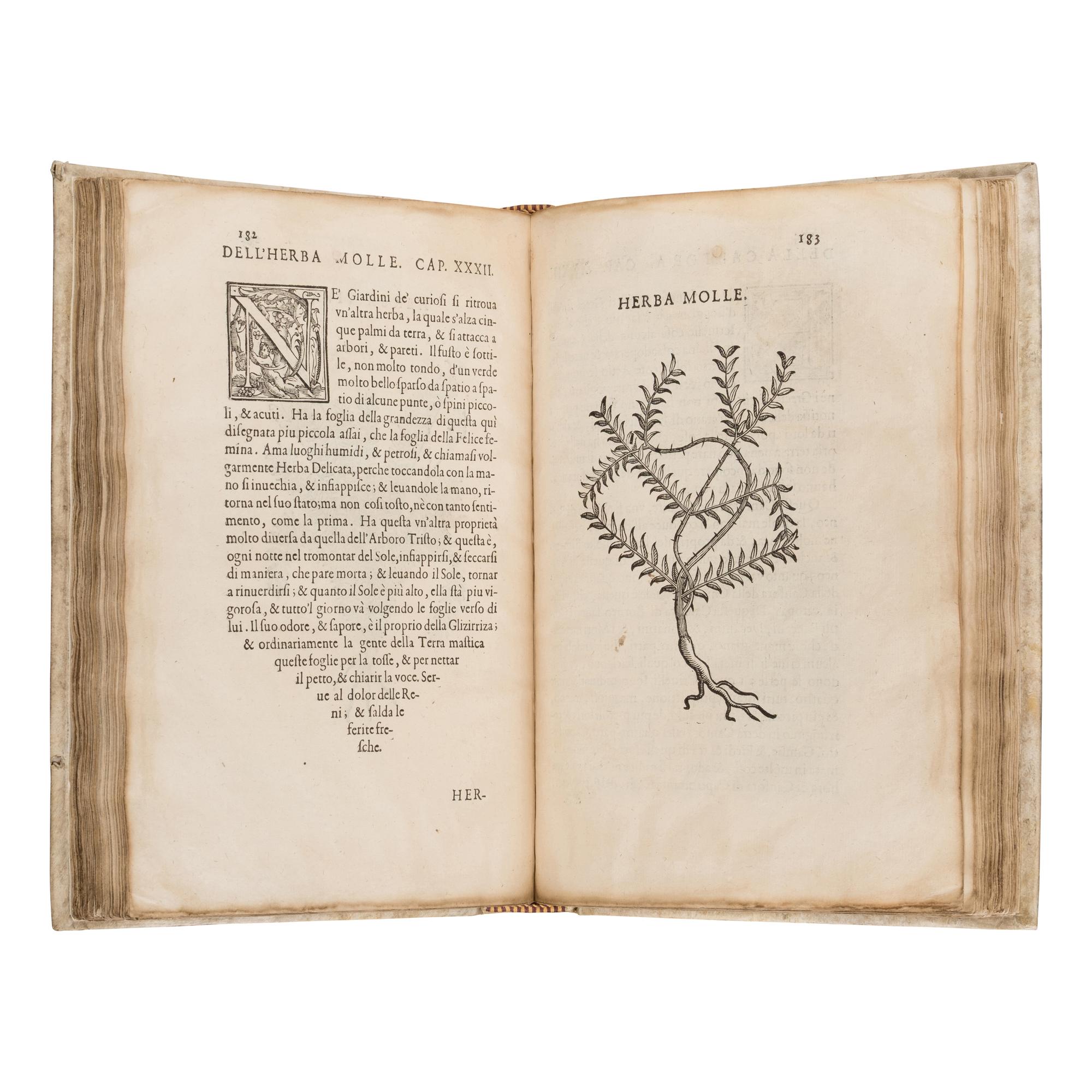Acosta, Cristóbal (1525-1594). Trattato di Christoforo Acosta Africano Medico, & Chirurgo della Historia, Natura, et Virtu delle Droghe Medicinali... Venice: Francesco Ziletti, 1585.