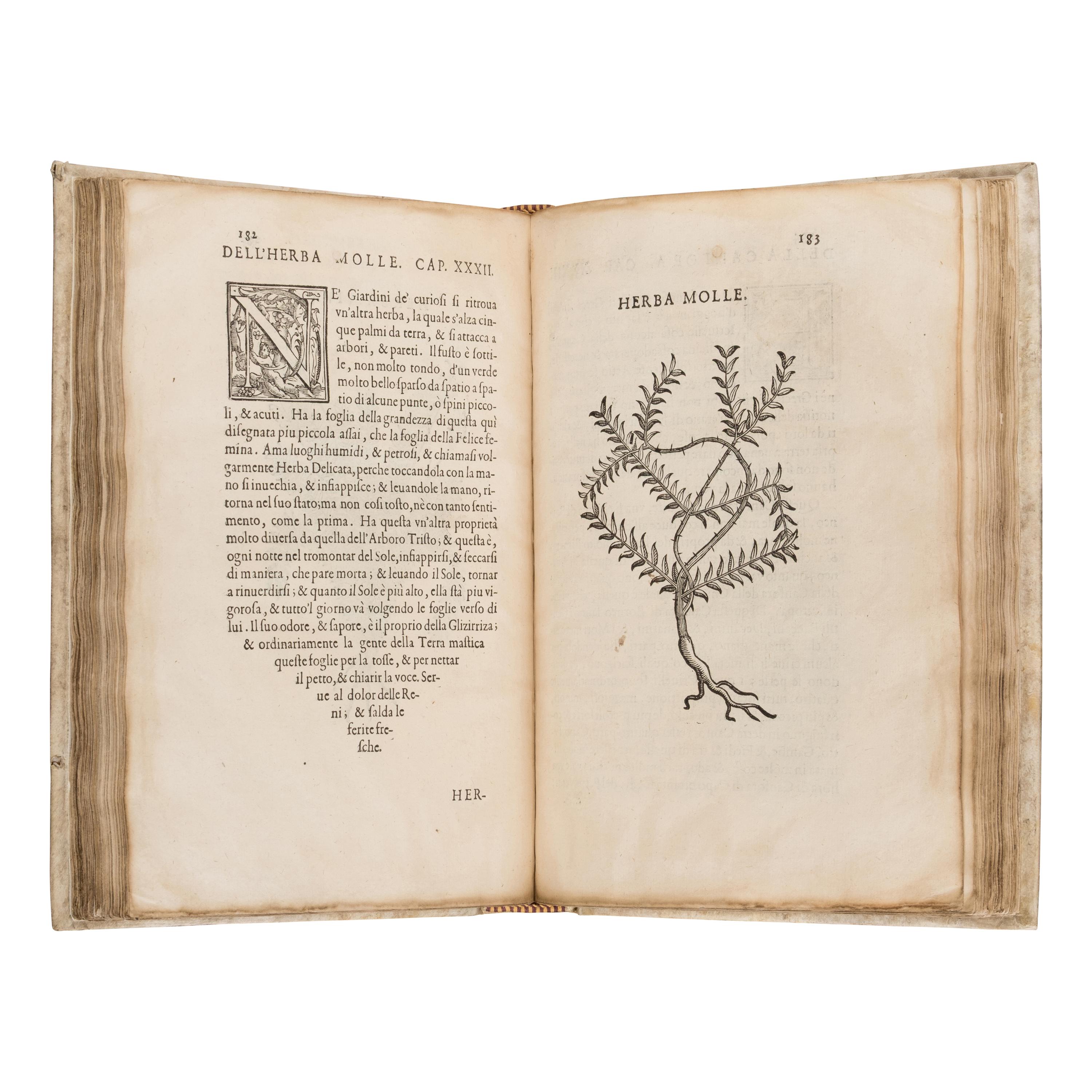 Acosta, Cristóbal (1525-1594). Trattato di Christoforo Acosta Africano Medico, & Chirurgo della Historia, Natura, et Virtu delle Droghe Medicinali... Venice: Francesco Ziletti, 1585.