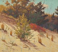 Autumn Paints the Dunes
