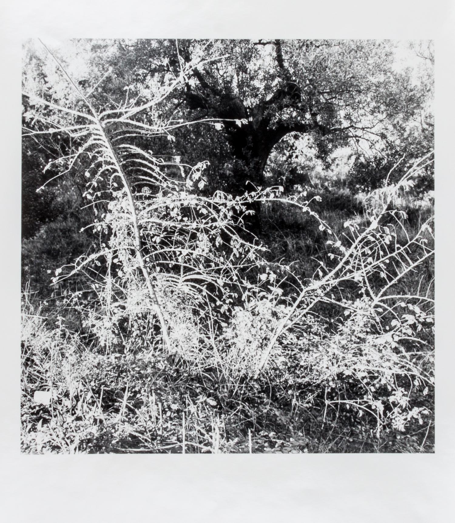 Ray Metzker, (American, 1931-2014), LT-7 SG-3, 1985