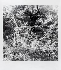 Ray Metzker, (American, 1931-2014), LT-7 SG-3, 1985
