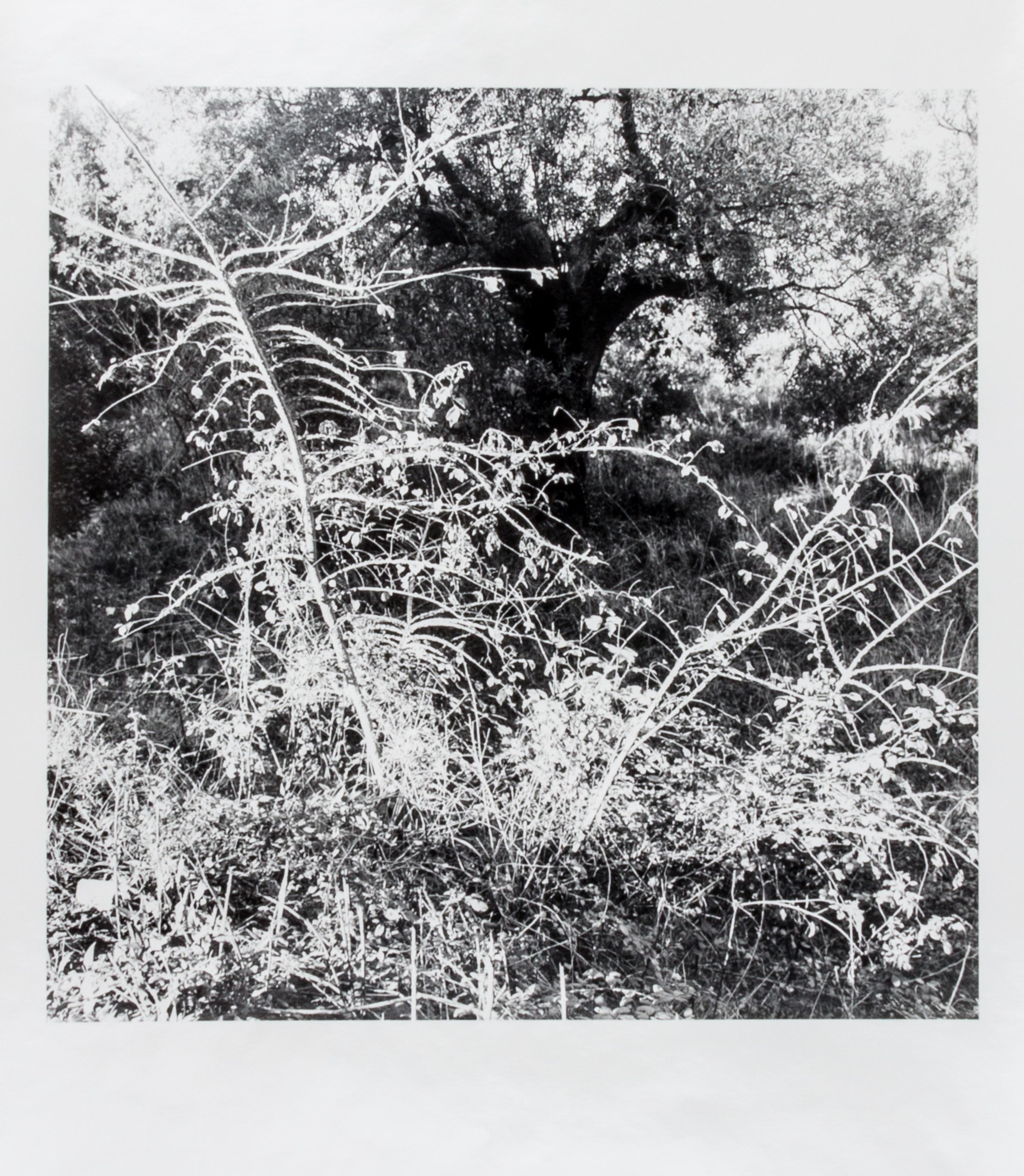 Ray Metzker, (American, 1931-2014), LT-7 SG-3, 1985