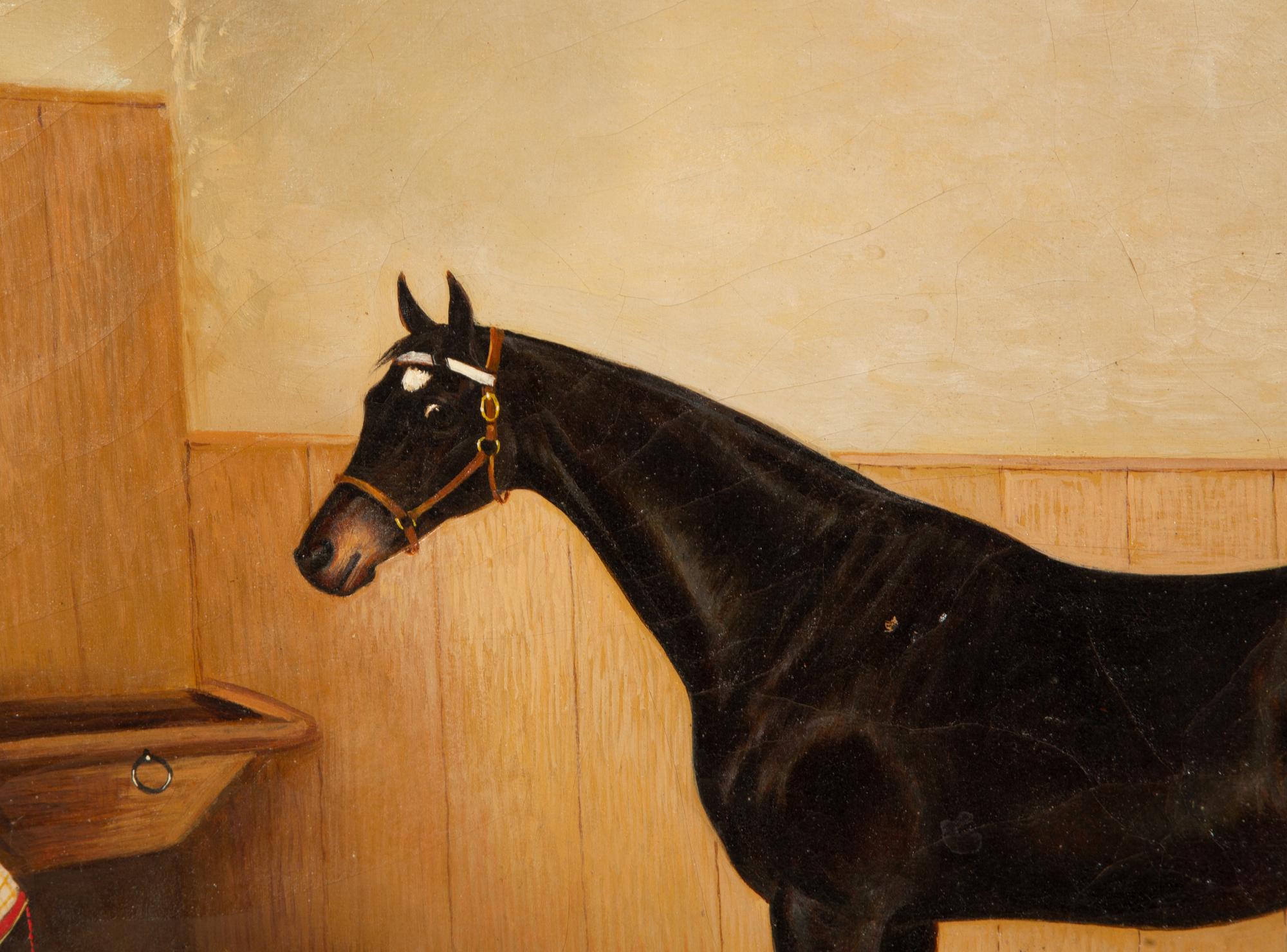 A Dark Brown Horse in a Stable