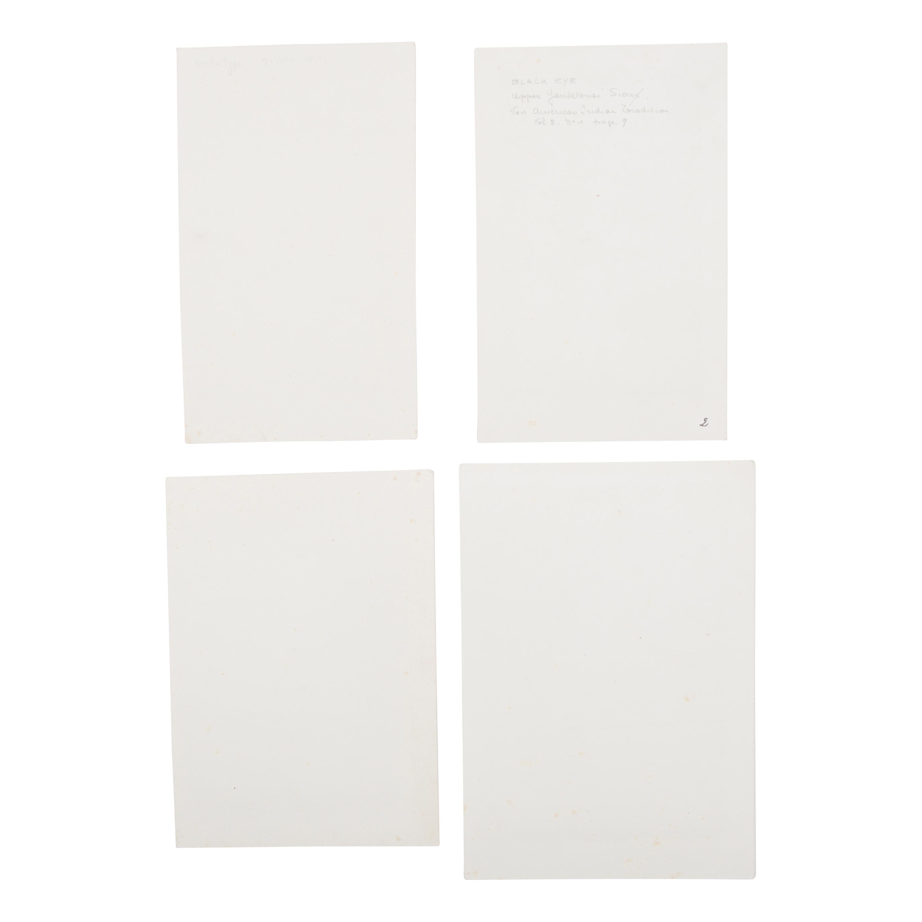Portraits of Sac and Fox, Iowa, Ponca, and Sioux Leaders by Gurnsey, McClees, and Shindler