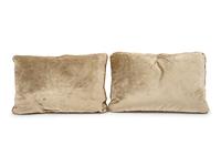 A Pair of Tapestry Pillows