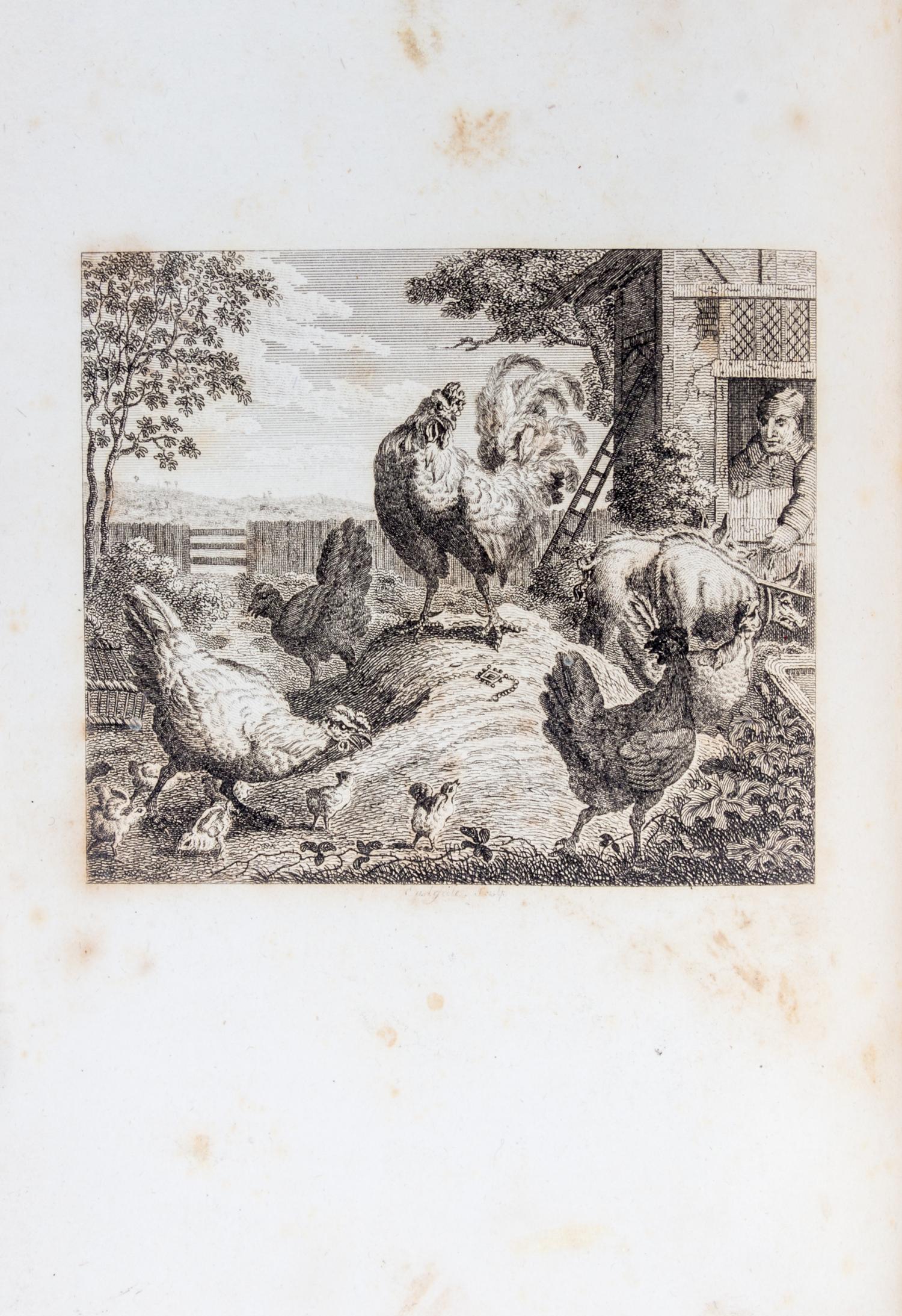 AESOP. The Fables. London, [1793]. Stockdale, 1793. 2 vols.