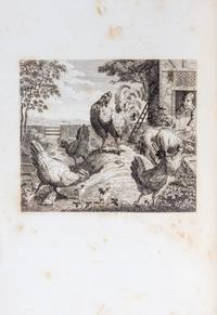 AESOP. The Fables. London, [1793]. Stockdale, 1793. 2 vols.