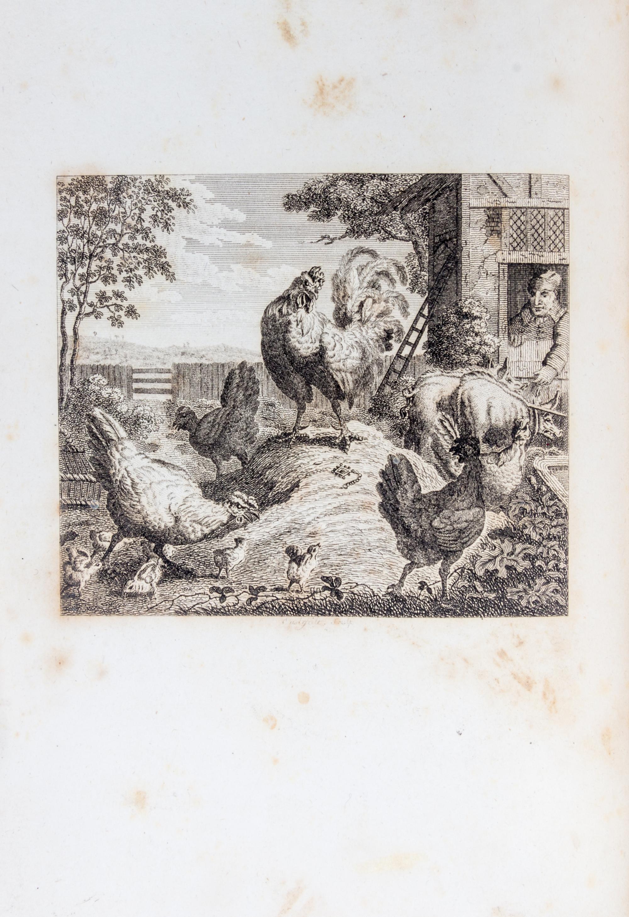AESOP. The Fables. London, [1793]. Stockdale, 1793. 2 vols.