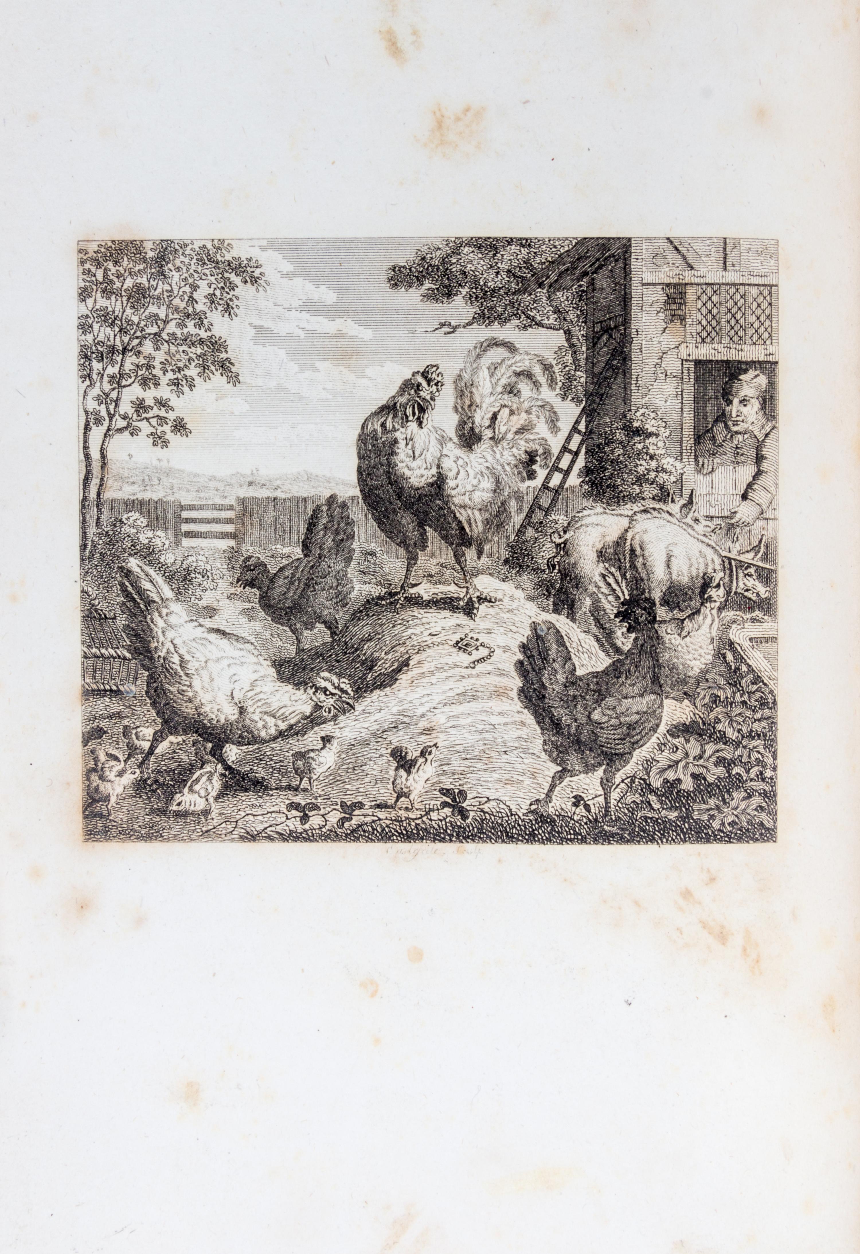 AESOP. The Fables. London, [1793]. Stockdale, 1793. 2 vols.
