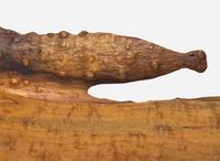 George Nakashima, Exceptional Plank Headboard