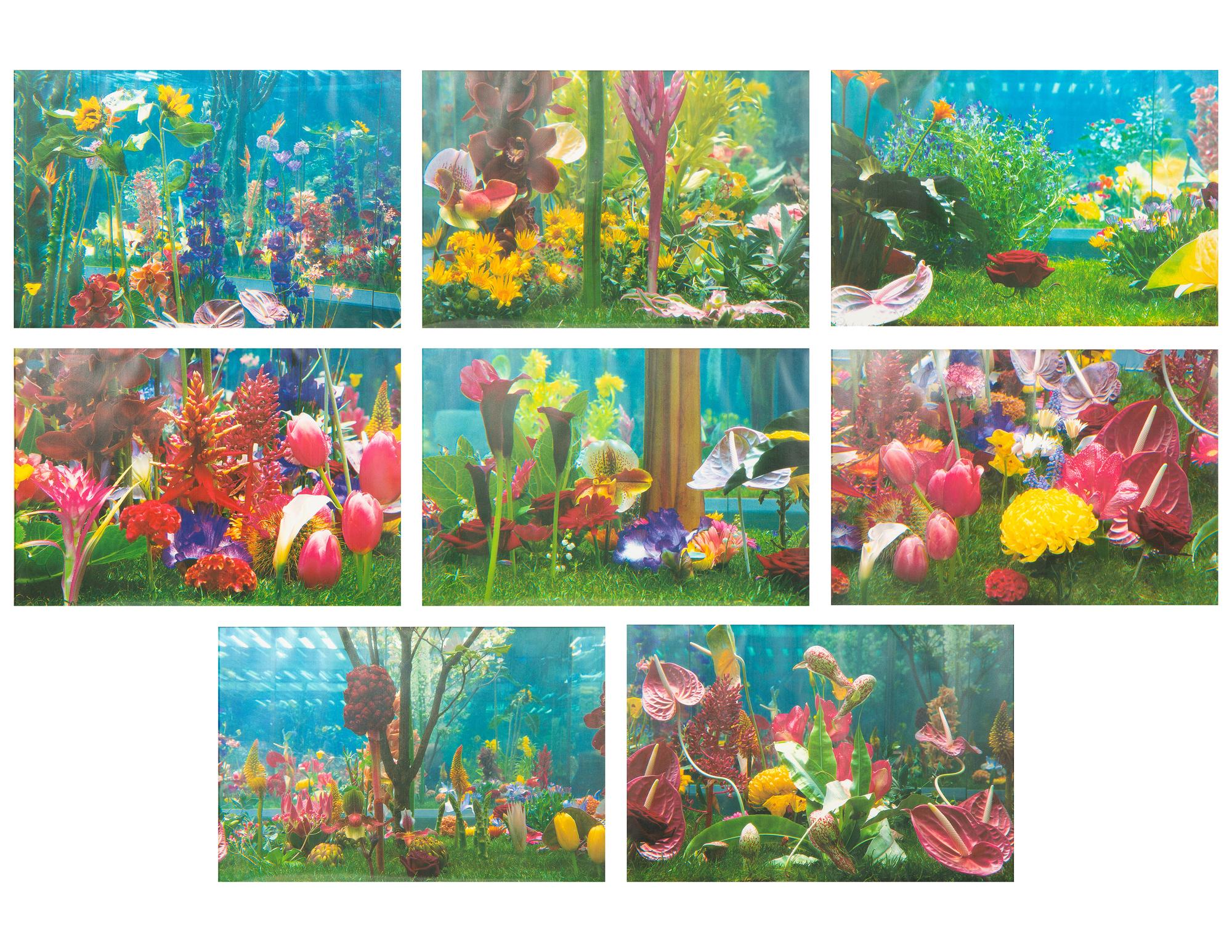 Garden² (complete portfolio of 8), 2000