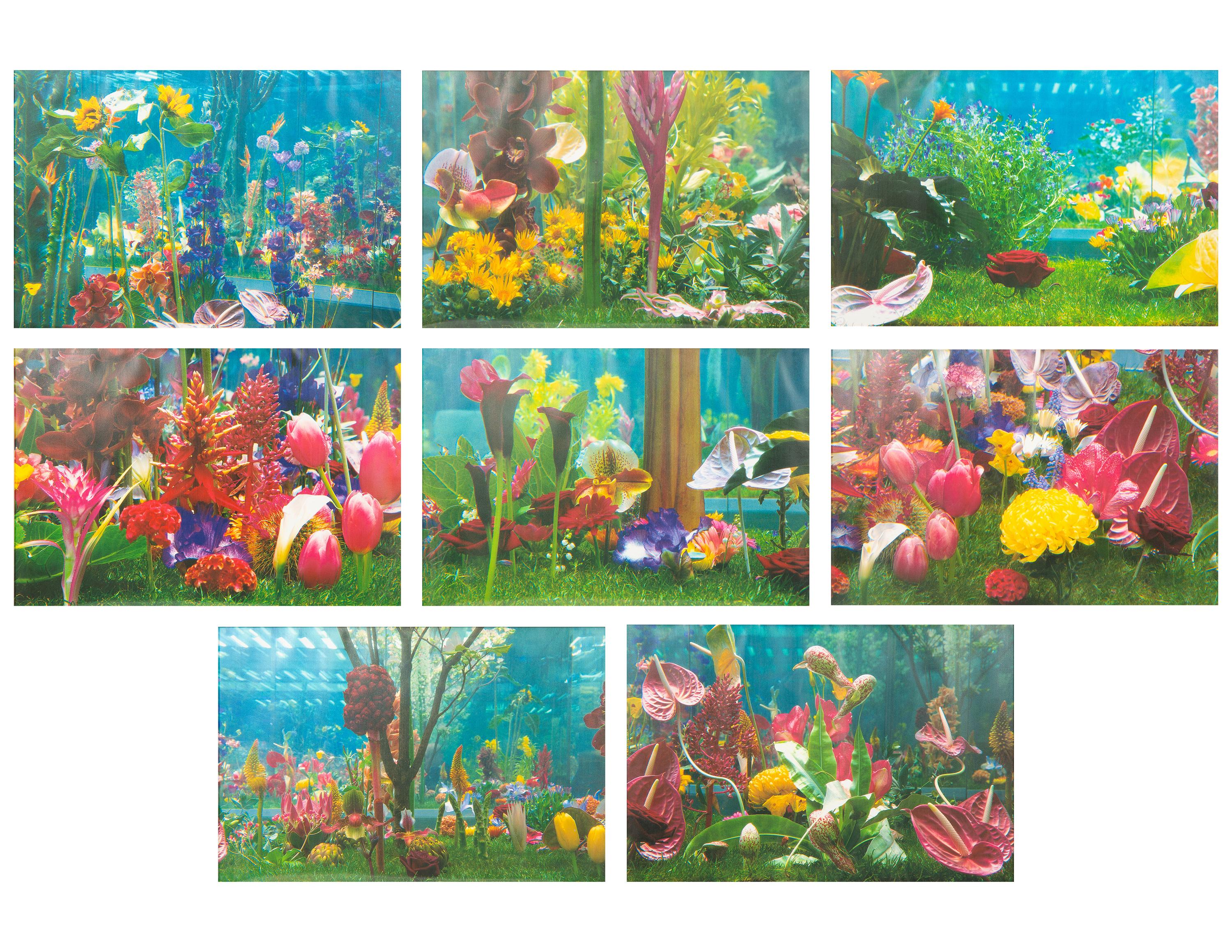 Garden² (complete portfolio of 8), 2000