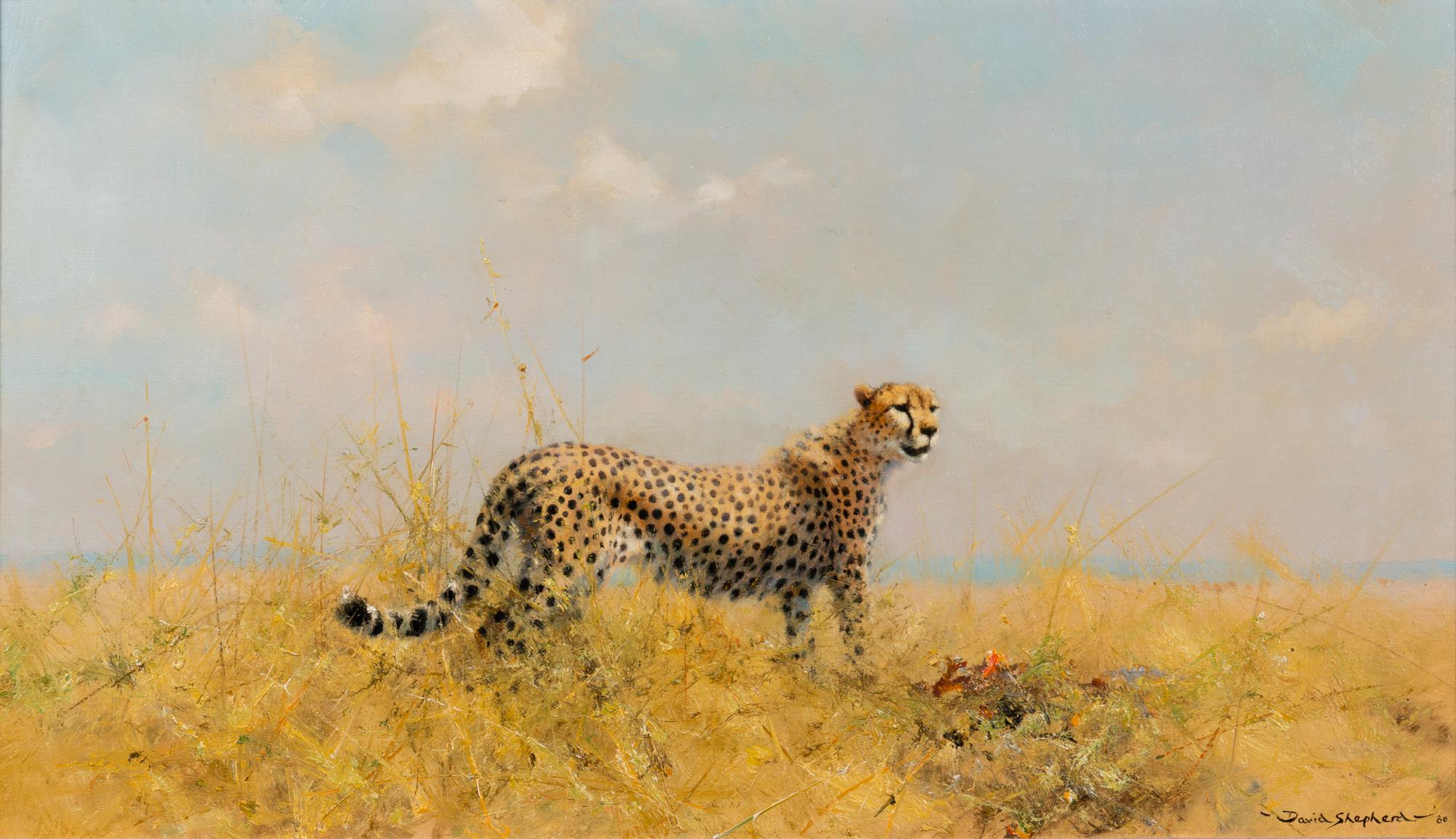 A Cheetah with Kill