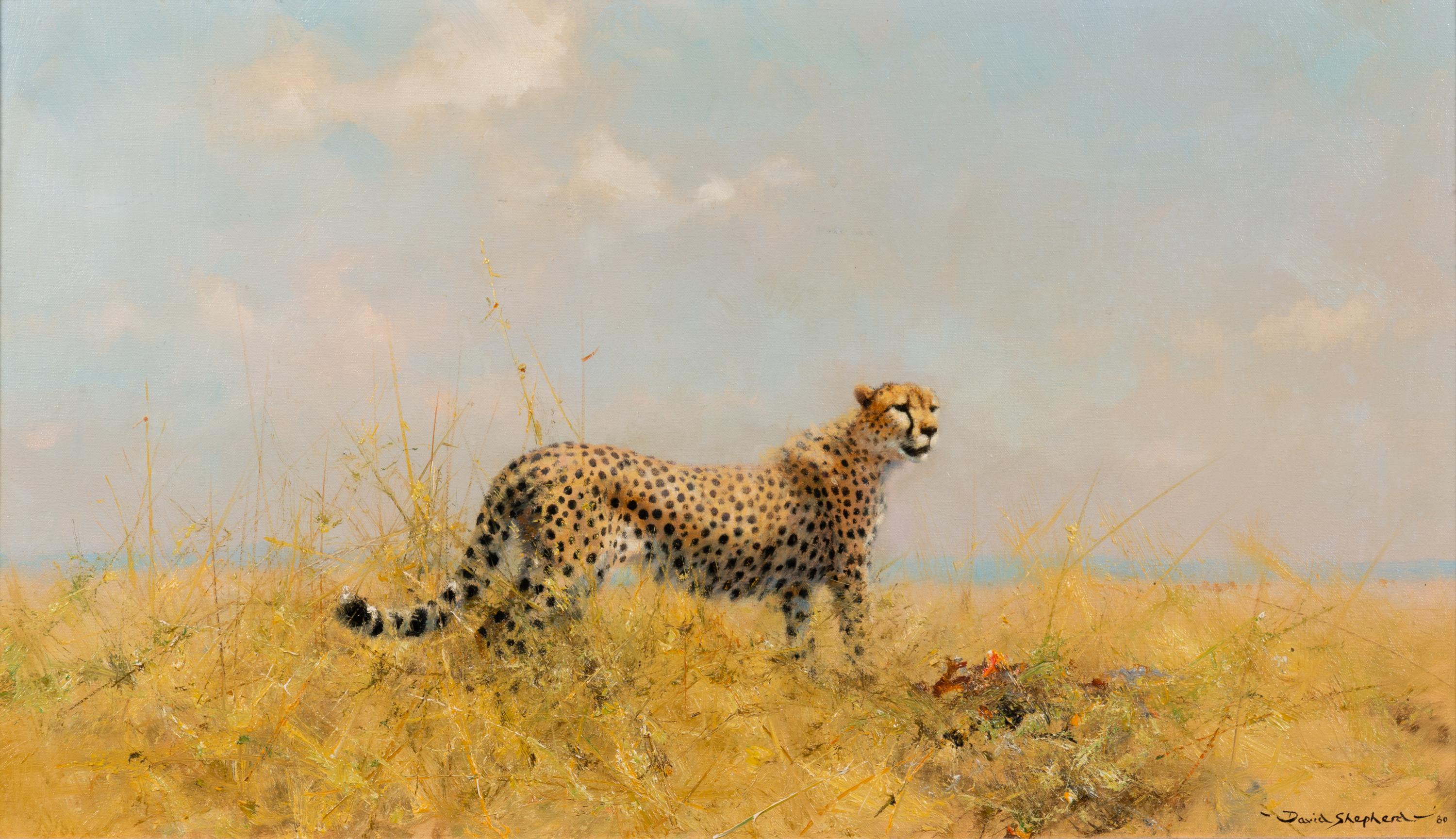 A Cheetah with Kill