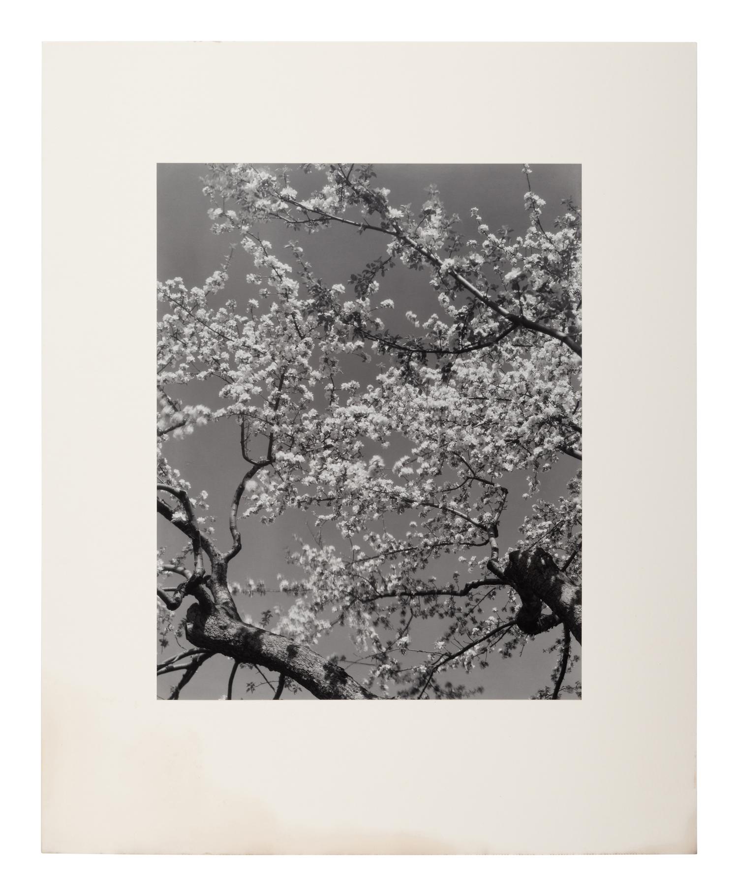 A group of seven photographs (from Harmonic Measure printed by George Tice with labels signed by George Tice and Joanna Steichen)