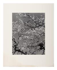 A group of seven photographs (from Harmonic Measure printed by George Tice with labels signed by George Tice and Joanna Steichen)