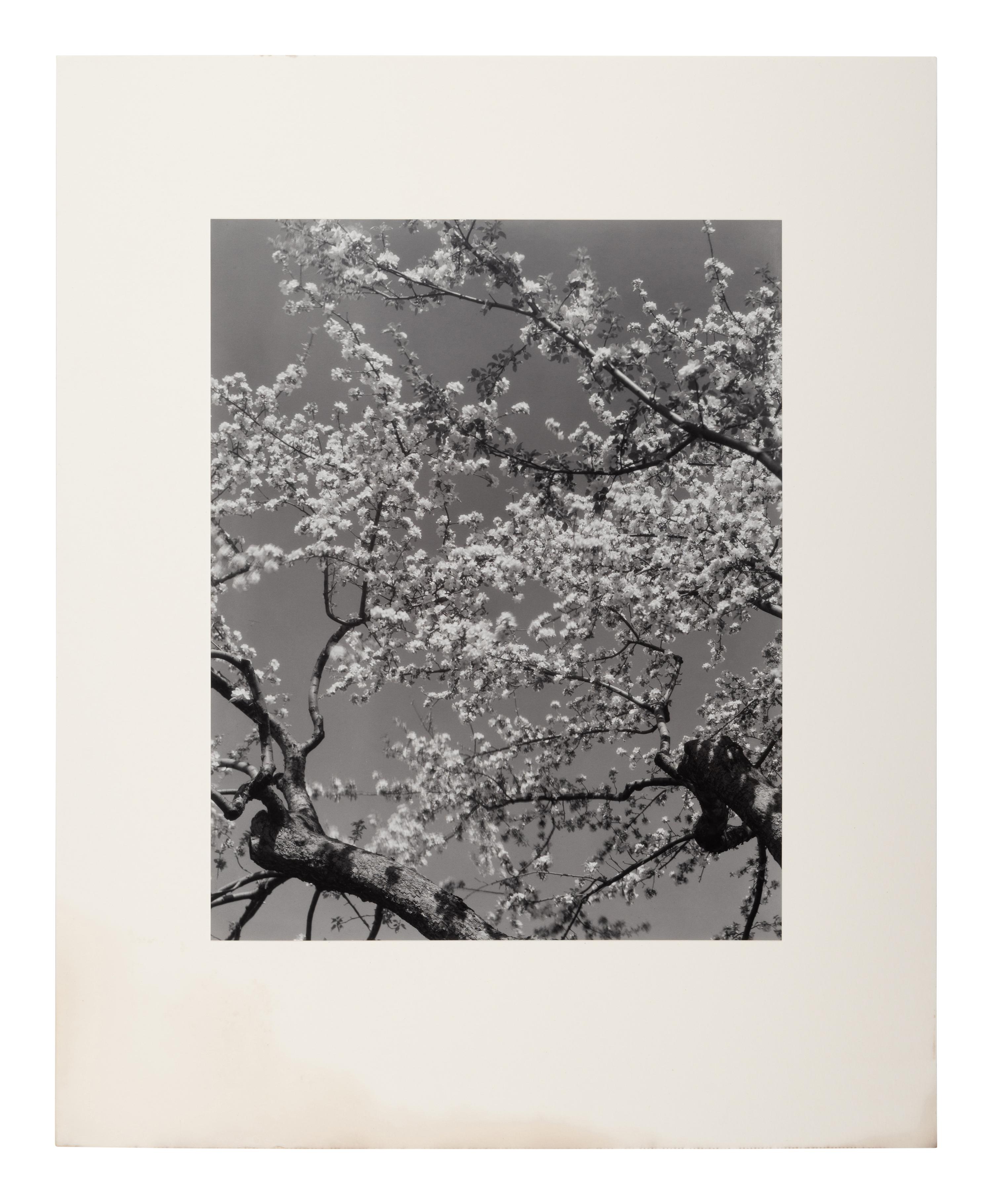 A group of seven photographs (from Harmonic Measure printed by George Tice with labels signed by George Tice and Joanna Steichen)