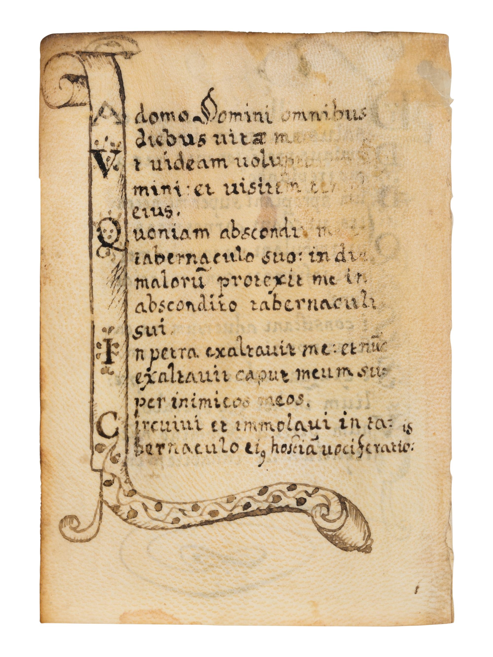 A collection of leaves from Psalter manuscripts, illuminated in Flanders in the first half of the thirteenth century, joined with a group of seventeenth- or eighteenth-century Psalter leaves drawn according to similar models