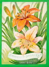 Day Lillies and Pansies (A Pair of Works)